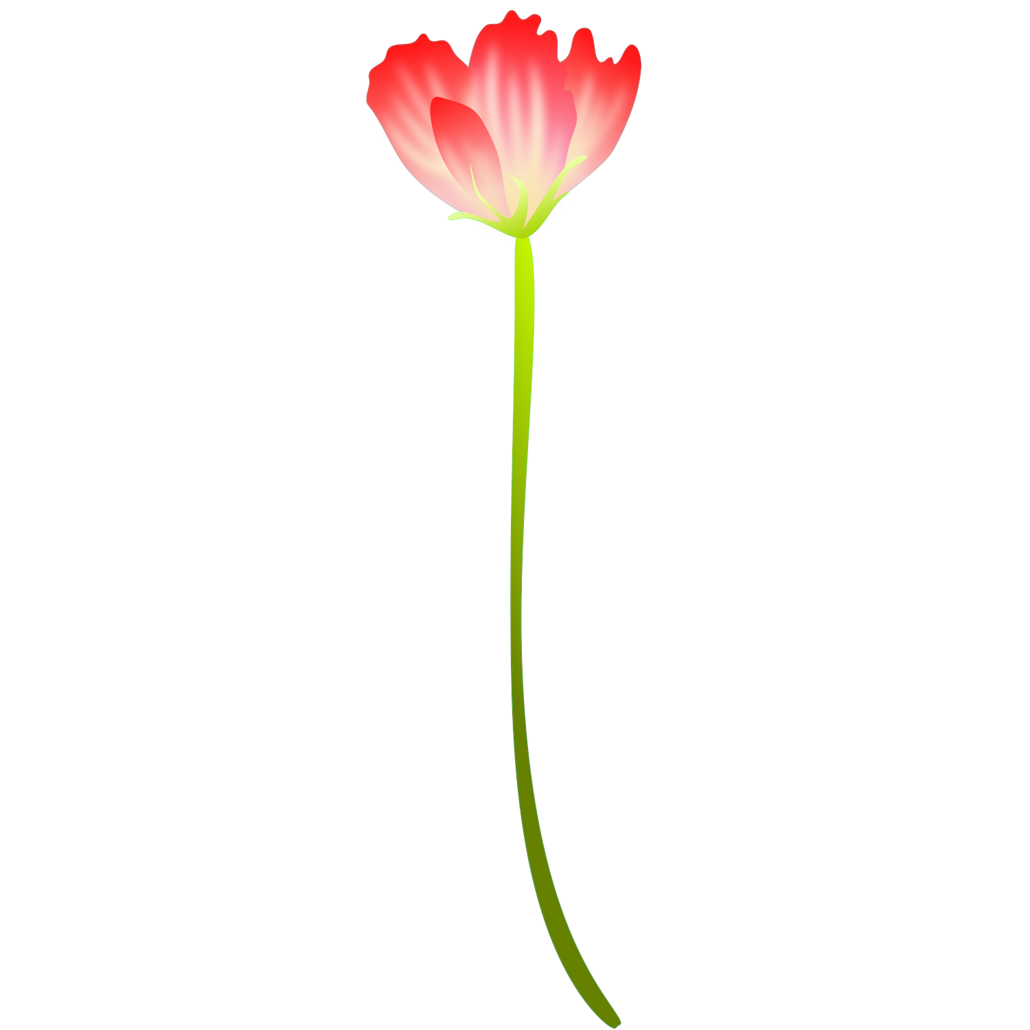 Rot